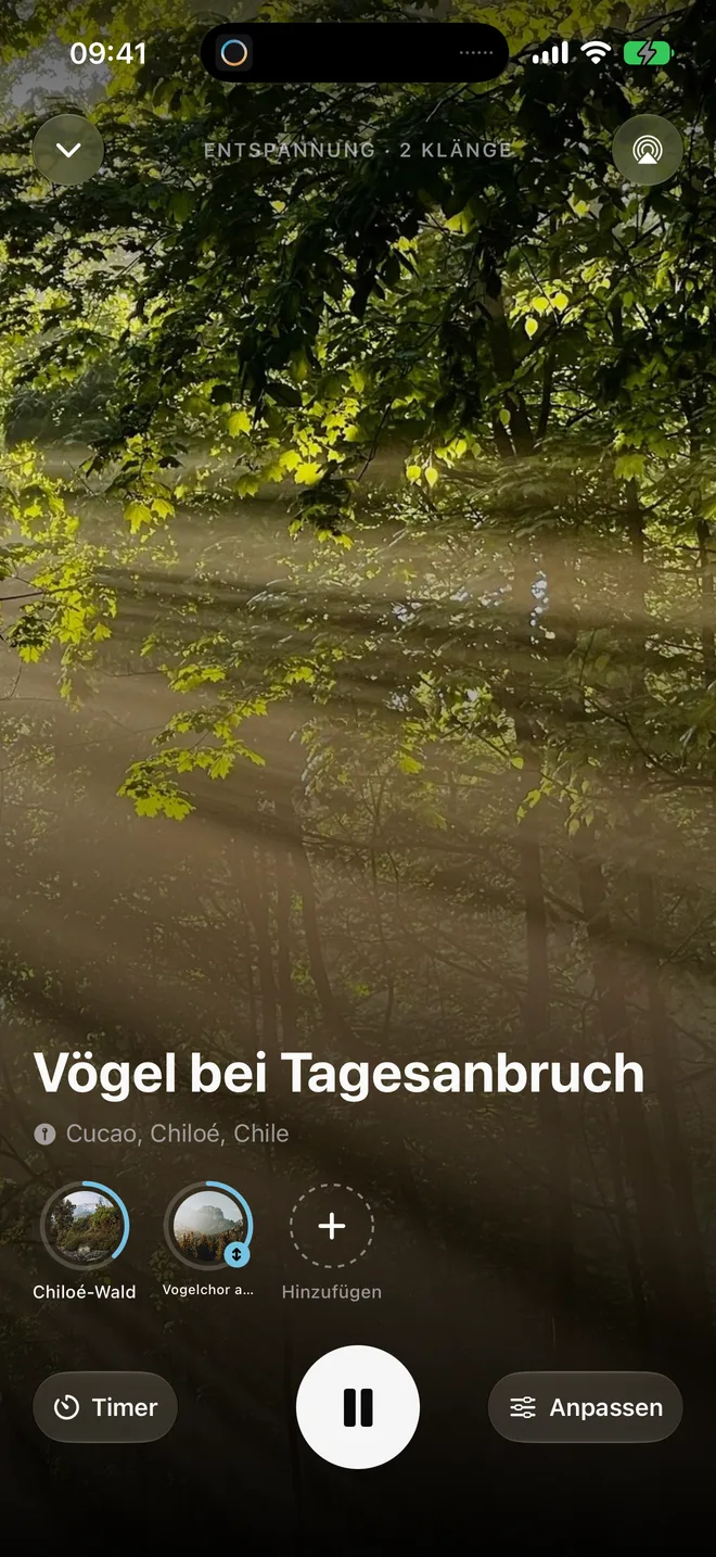 Sanftes Aufwachen mit der Klangwelt „Vögel bei Tagesanbruch“