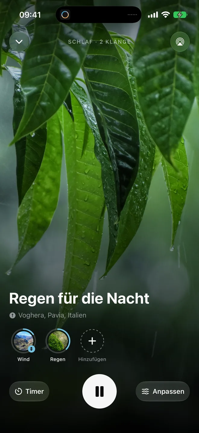 Was die kostenlose Version von Oasis enthält