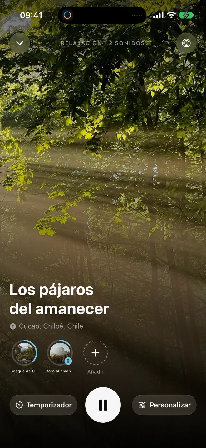 El despertar suave con Los pájaros del amanecer