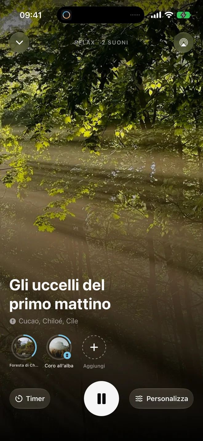 Il risveglio dolce con Gli uccelli del primo mattino