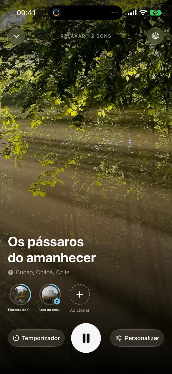 O despertar suave com Os pássaros do amanhecer